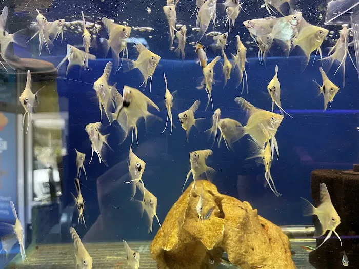 The Aquatic Centre Picture 4