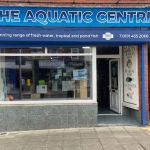 The Aquatic Centre