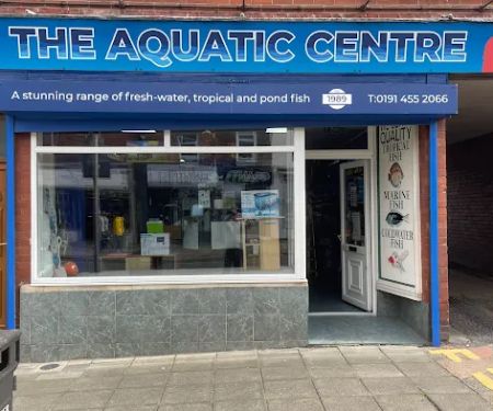 The Aquatic Centre