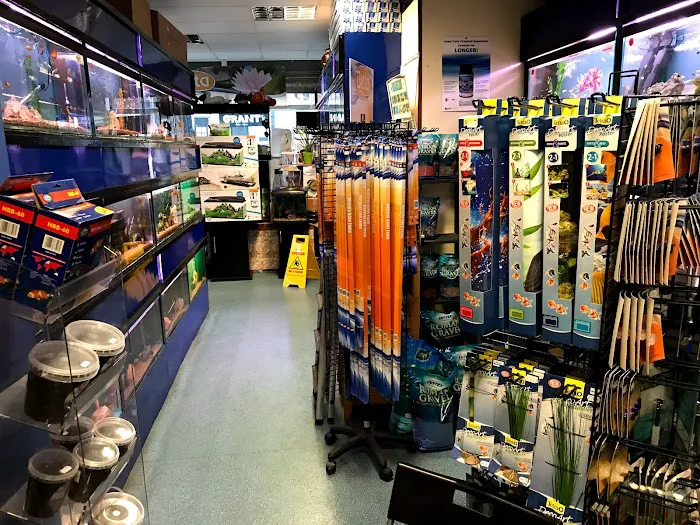 The Aquatic Centre Picture 8