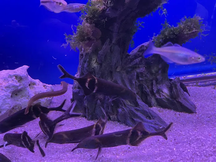 The Aquatic Centre Picture 9