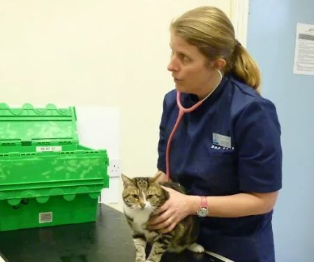 Bay Vets Caton