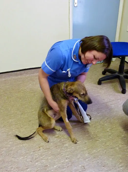 Bay Vets Caton Picture 4