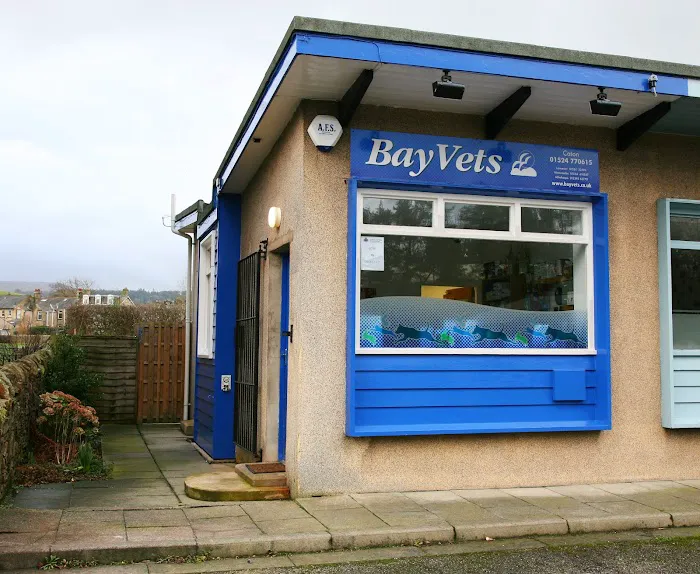 Bay Vets Caton Picture 10