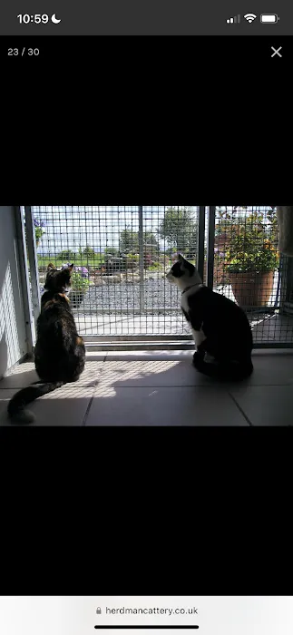 Herdman Country Club for Cats Picture 1