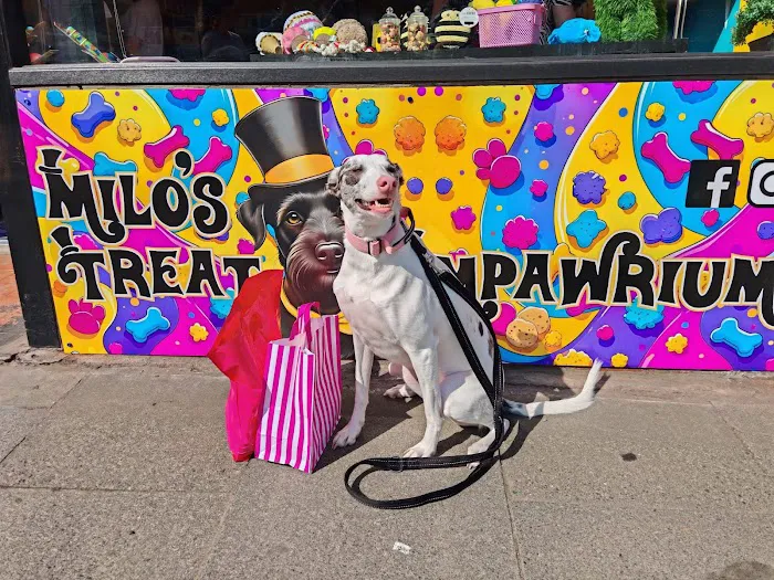 Milo’s treat empawrium Picture 2