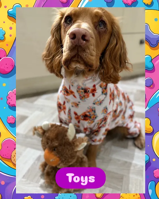 Milo’s treat empawrium Picture 7