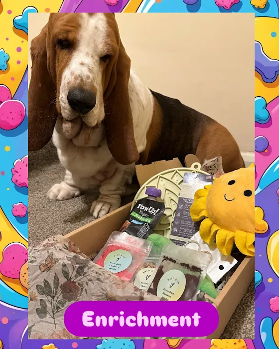 Milo’s treat empawrium Picture 10