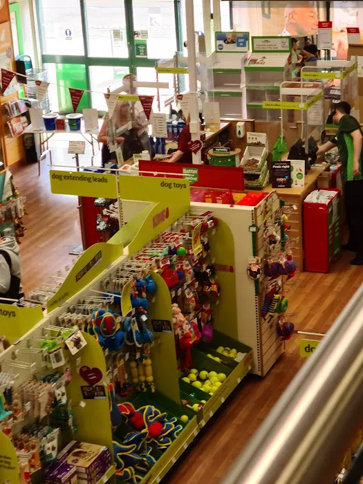 Pets at Home South Shields Picture 3