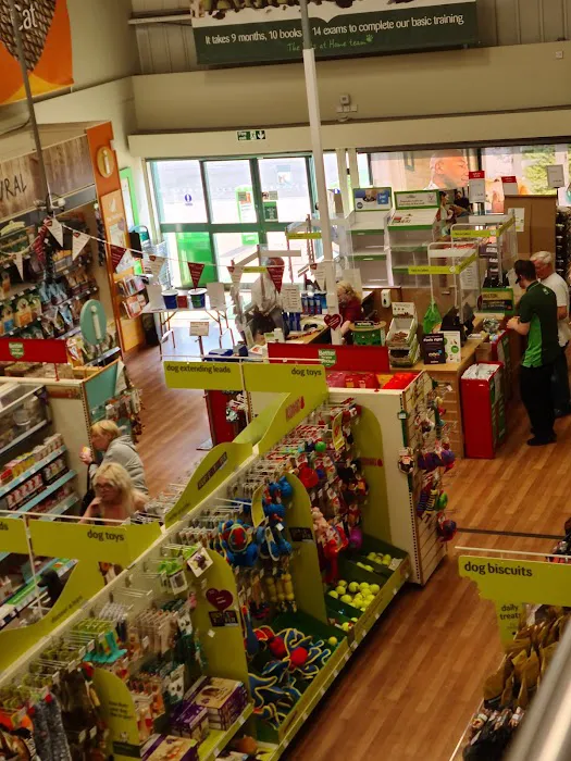 Pets at Home South Shields Picture 8