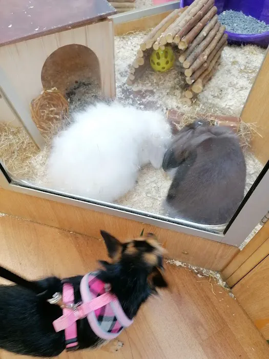 Pets at Home South Shields Picture 1