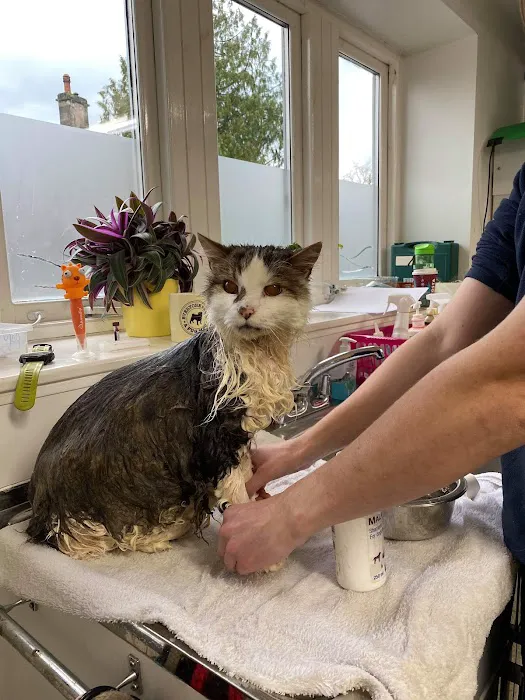 Oakhill Veterinary Group, Windermere Picture 4