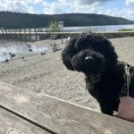 Oakhill Veterinary Group, Ambleside