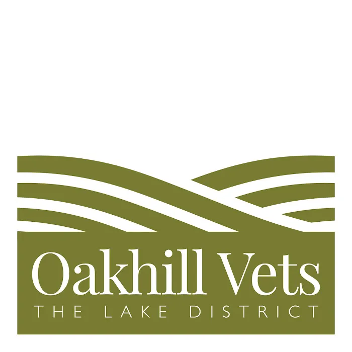 Oakhill Veterinary Group, Ambleside Picture 7