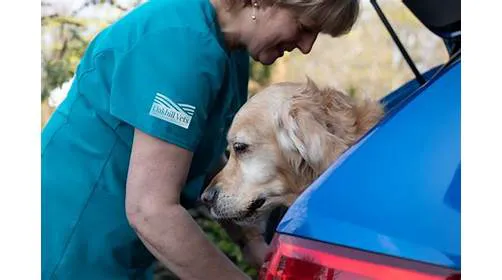 Oakhill Veterinary Group, Ambleside Picture 5