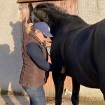 EW Equine Vets Ltd