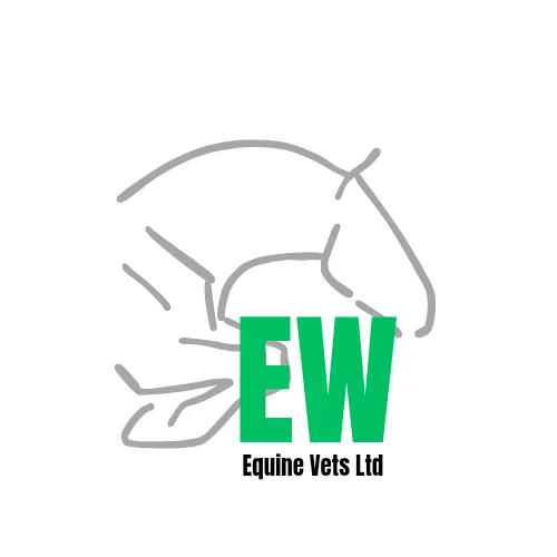 EW Equine Vets Ltd Picture 3