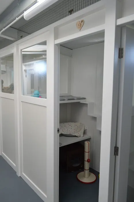 Cozy Cats Cattery Picture 10