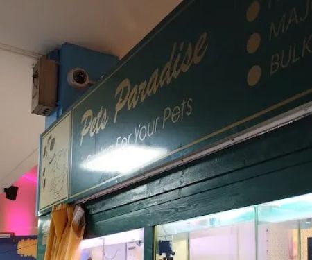 Pets Paradise