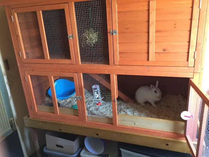 Pets at Home Barrow Picture 7