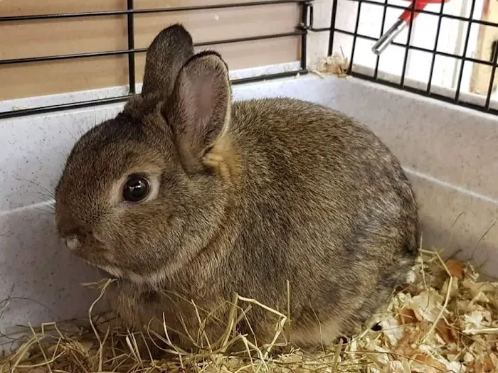 Barrow Bird & Pet Centre Picture 7