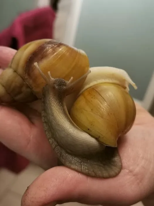 Barrow Bird & Pet Centre Picture 6