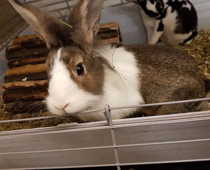 Barrow Bird & Pet Centre Picture 5