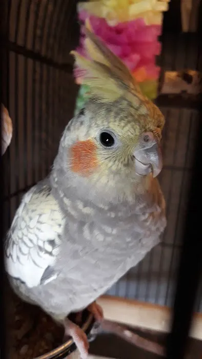 Barrow Bird & Pet Centre Picture 2