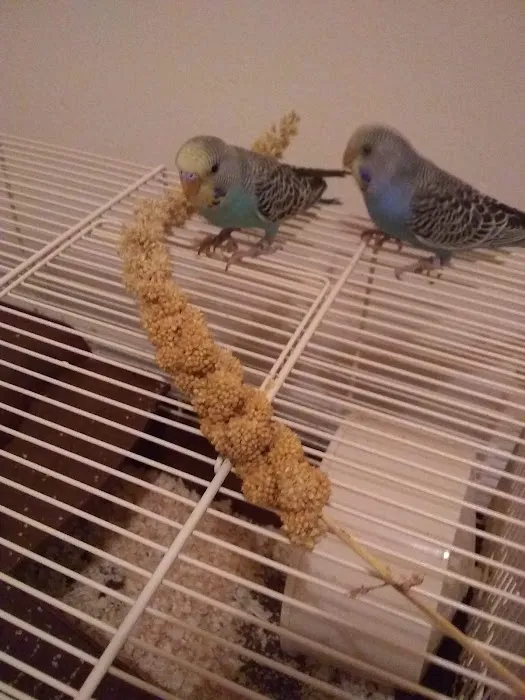 Barrow Bird & Pet Centre Picture 3