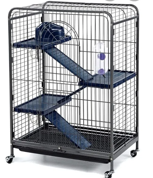 Barrow Bird & Pet Centre Picture 10