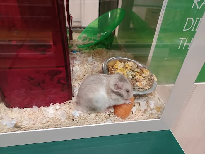 Vets4Pets - Middlesbrough Cleveland Park Picture 1