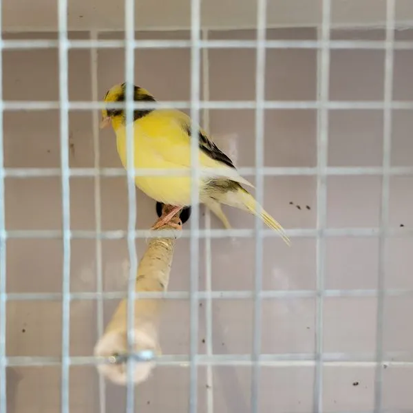 Wings and Fins Pet and Aquatic Shop Picture 1