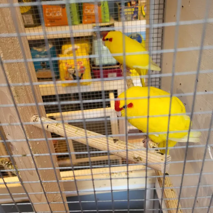 Wings and Fins Pet and Aquatic Shop Picture 6