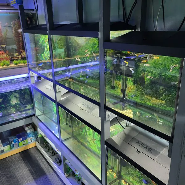 Wings and Fins Pet and Aquatic Shop Picture 3