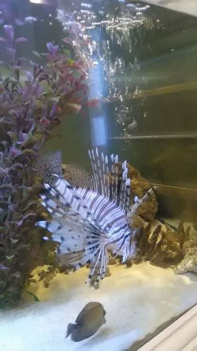 Wings and Fins Pet and Aquatic Shop Picture 10