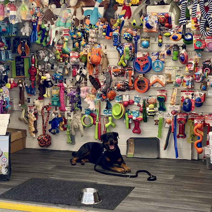 Happy pet supplies Picture 9