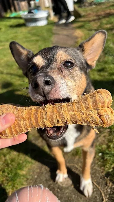 Happy pet supplies Picture 1