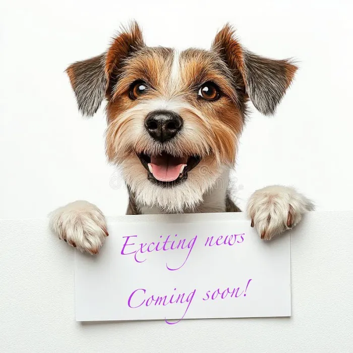 Happy pet supplies Picture 2