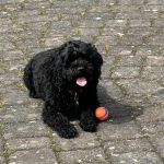 Whitley Bay Pet Supplies