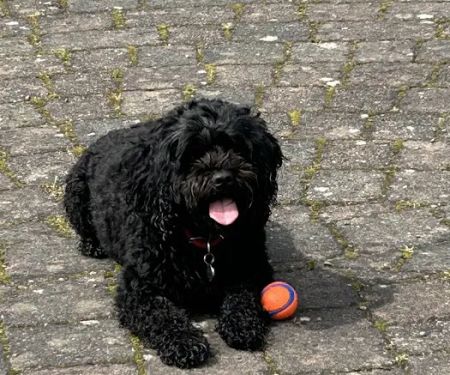 Whitley Bay Pet Supplies