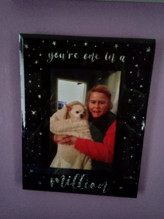 Vets4Pets South Shields Picture 2