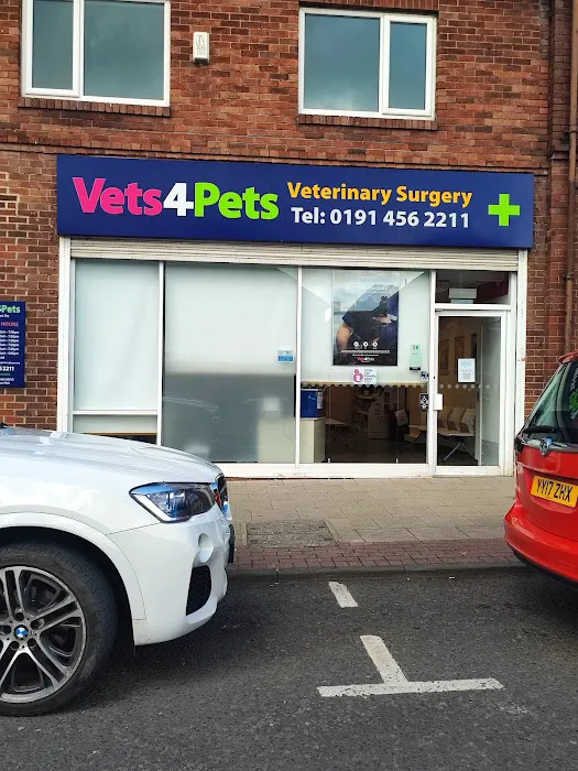 Vets4Pets South Shields Picture 4