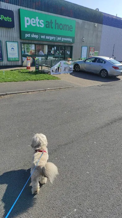 Vets4Pets South Shields Picture 9