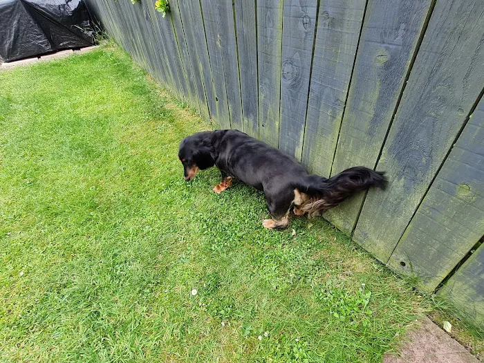 Vets4Pets South Shields Picture 6