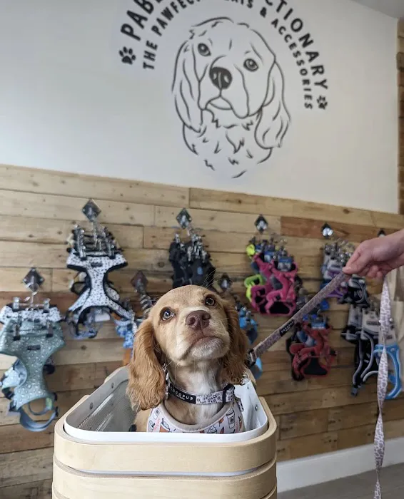 Pablos Pawfectionary Picture 2