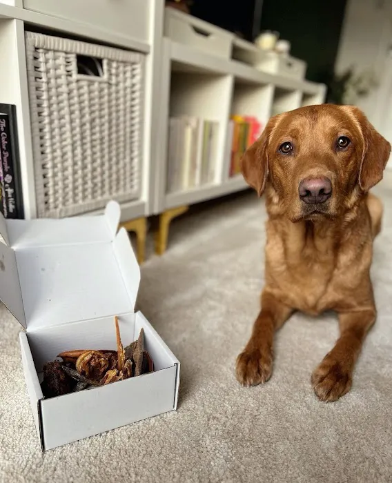 Pablos Pawfectionary Picture 4