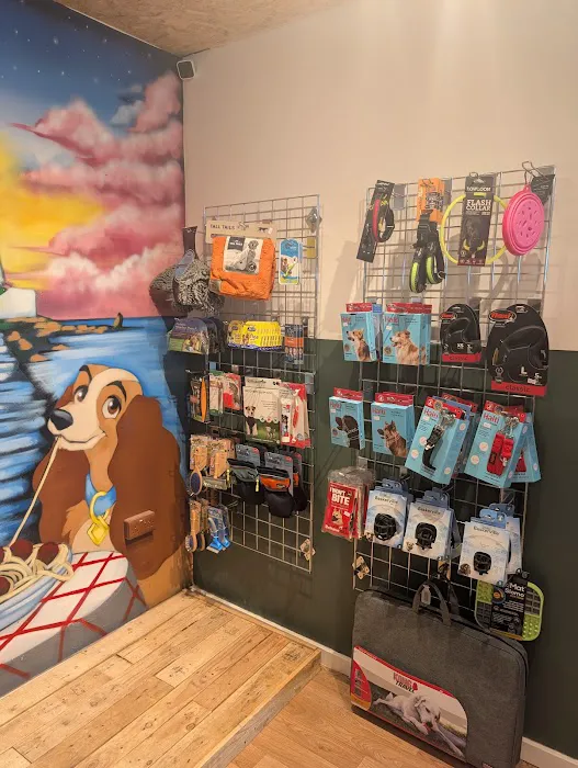 Pablos Pawfectionary Picture 9