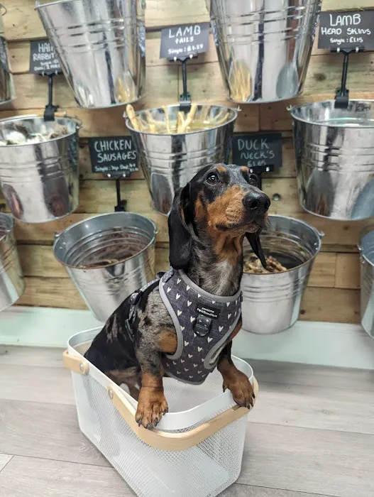 Pablos Pawfectionary Picture 6