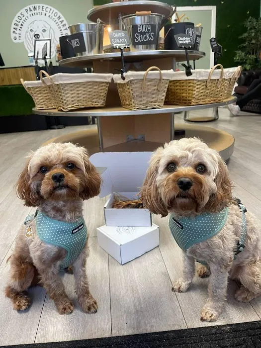 Pablos Pawfectionary Picture 10