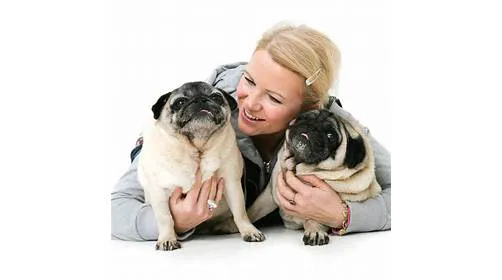 Willows Veterinary Centre, South Shields Surgery Picture 4